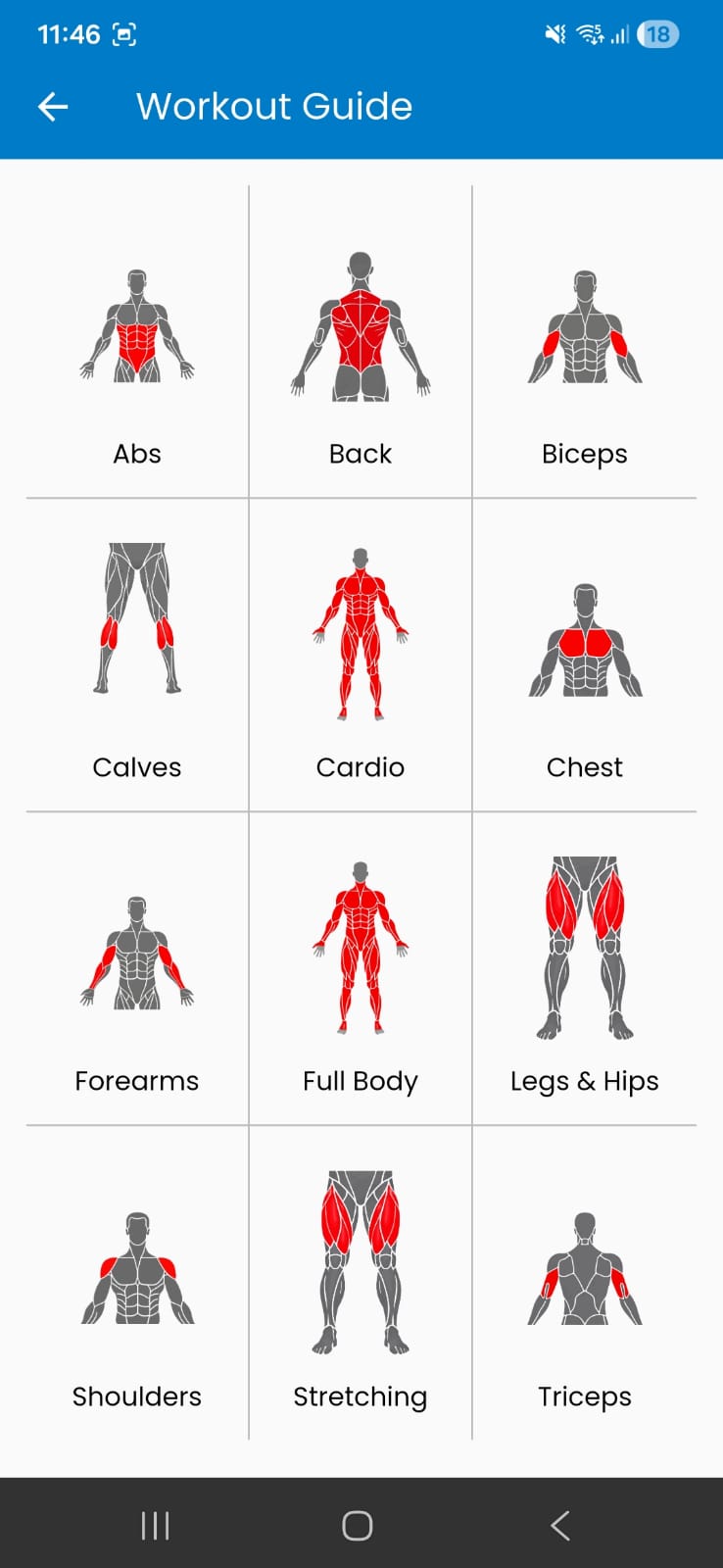 Workout guide organized by target muscle groups